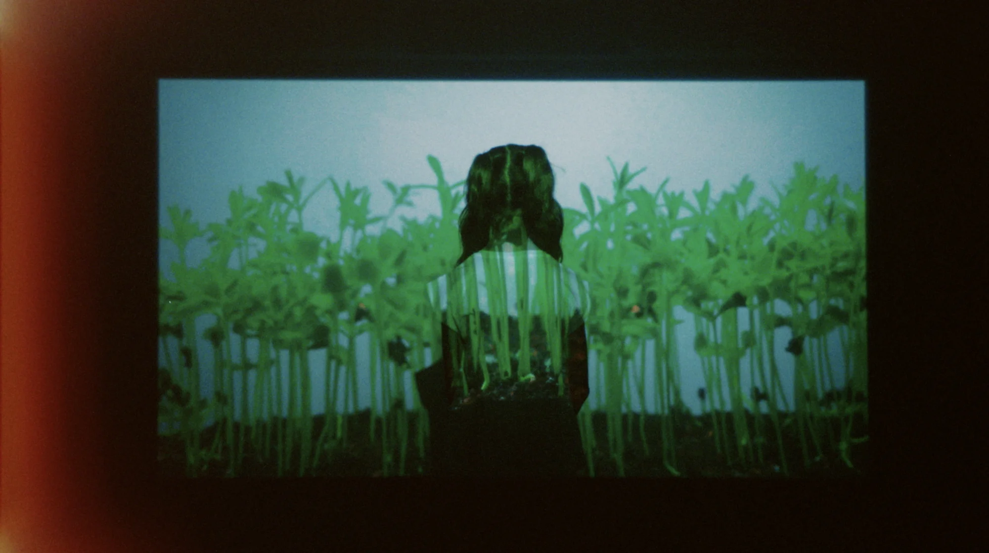 CERCA — still 2