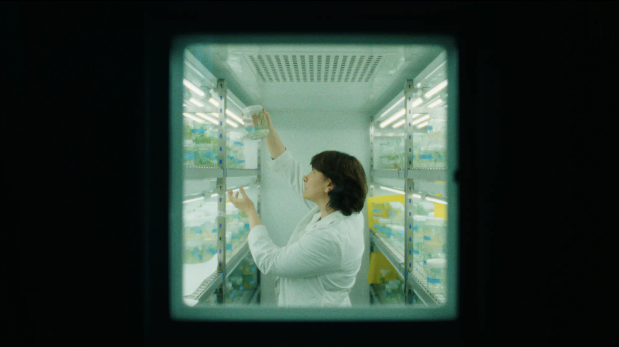 CERCA — still 3