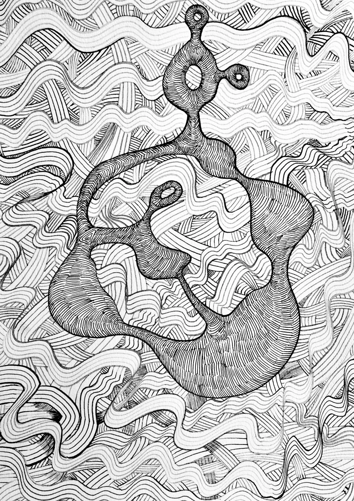 viscerales 5