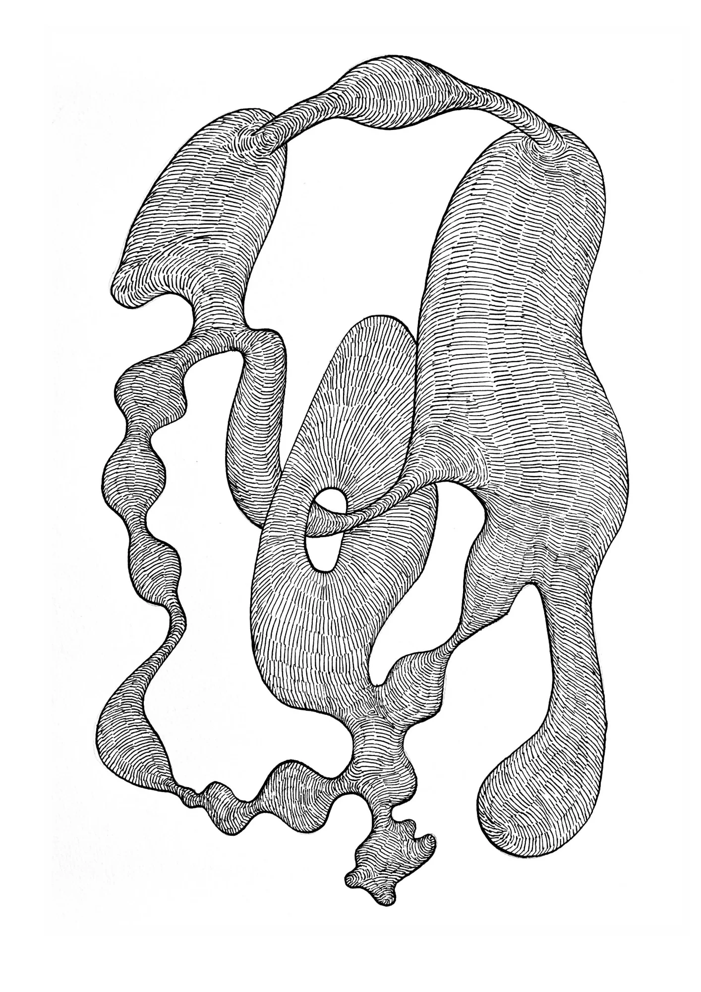 viscerales 6