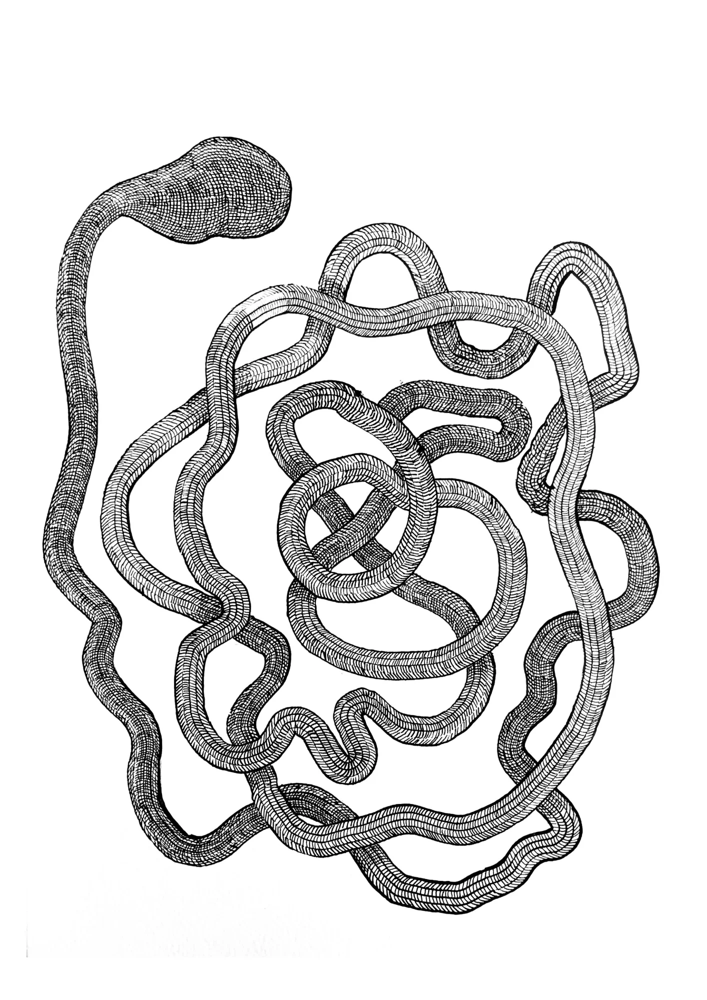 viscerales 9