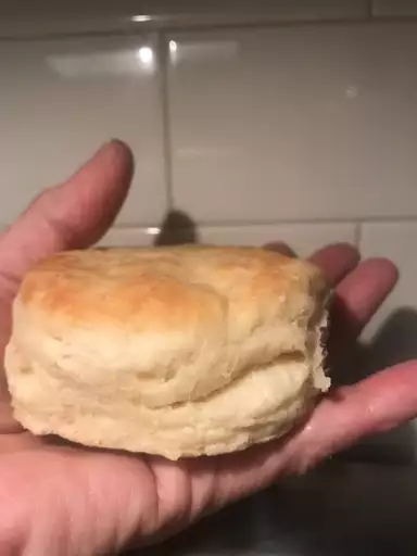 look at this biscuit!